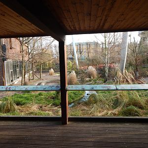 Latin American aviary 261124