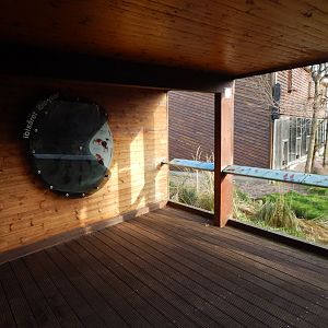 Latin American aviary 261124