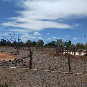 Elephant precinct walking trail