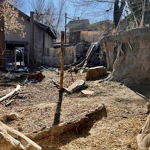 Snow leopard exhibit