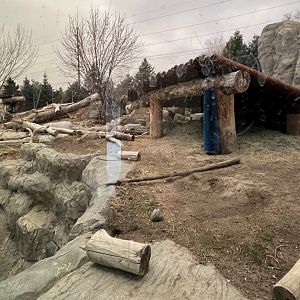 Grizzly bear exhibit