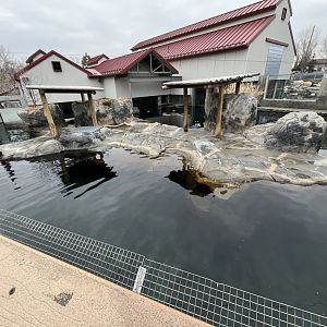 Sea lion and harbor seal exhibit