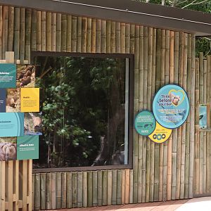 New indoor enclosure for Asian Small-clawed Otter