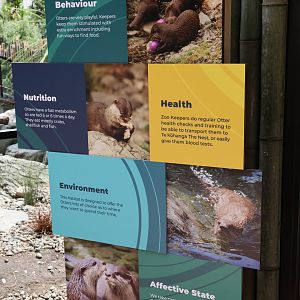 New signage for Asian Small-clawed Otter
