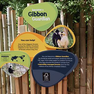 New signage for Northern White-cheeked Gibbon