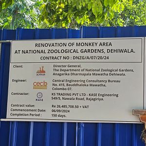 Renovations have begun in the outdated monkey area