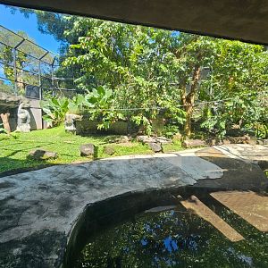 Jaguar enclosure with all the plants grown in