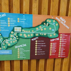Zoo Łączna - Zoo map