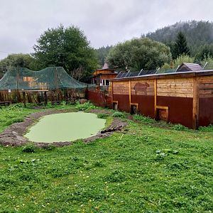 Zoo Łączna - Capybara enclosure