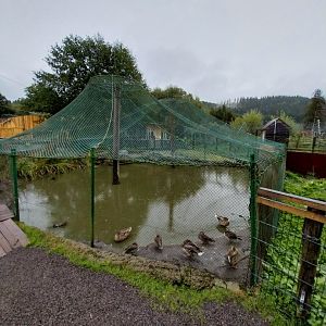 Zoo Łączna - Duck aviary