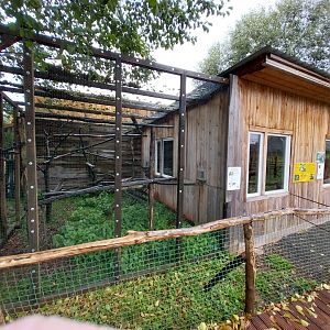 Zoo Łączna - Pygmy marmoset enclosure