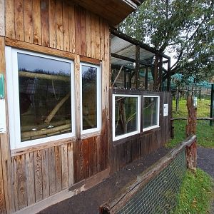 Zoo Łączna - Pygmy Marmoset and Red-crowned Parakeet