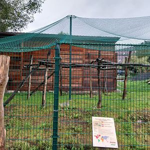 Zoo Łączna - Bearded capuchin enclosure