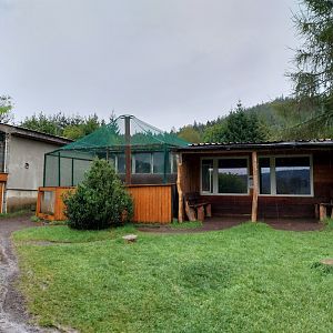 Zoo Łączna - Meerkat enclosure