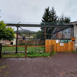 Zoo Łączna - Siberian Tiger enclosure