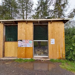 Zoo Łączna - Fennec Fox enclosure
