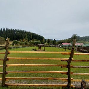 Zoo Łączna - Nilgai (Boselaphus tragocamelus) enclosure