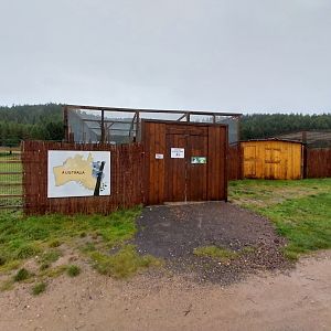 Zoo Łączna - Start of the Australia tour