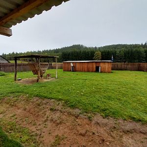 Zoo Łączna - Red Kangaroo (Osphranter rufus) enclosure