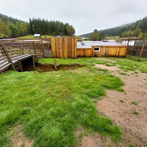 Zoo Łączna - Australian Shelduck (Tadorna tadornoides) enclosure