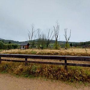 Zoo Łączna - Island for primates