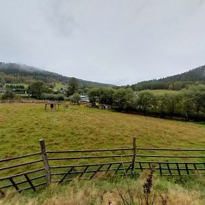 Zoo Łączna - Western Sitatunga (Tragelaphus spekii gratus) enclosure