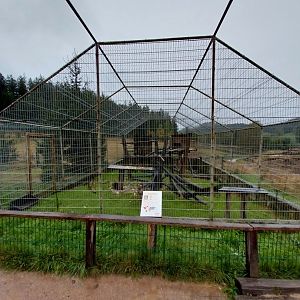 Zoo Łączna - Japanese Macaqua (Macaca fuscata) enclosure