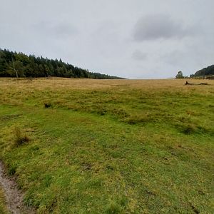 Zoo Łączna - Scenery at the back of the zoo