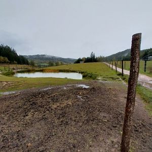 Zoo Łączna - Common Fallow Deer (Dama dama) and European Mouflon (Ovis orientalis musimon) enclosure