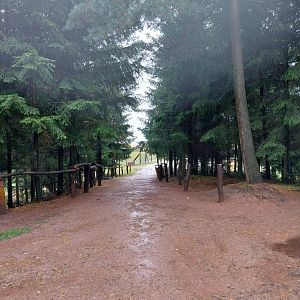 Zoo Łączna - Woodland track with aviaries