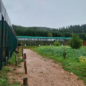 Zoo Łączna - Pheasantry