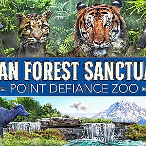 Asian Forest Sanctuary Virtual Tour