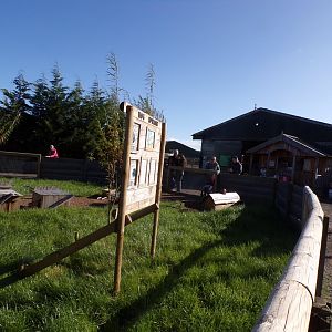 Guniea pig enclosure- Western American themed 14.10.23