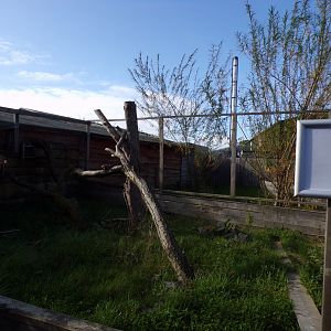 Former rainforest house outdoor enclosures 14.10.23