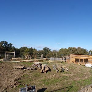 Future serval enclosure construction 14.10.23
