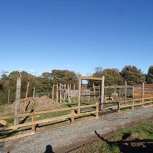 Future serval enclosure construction 14.10.23