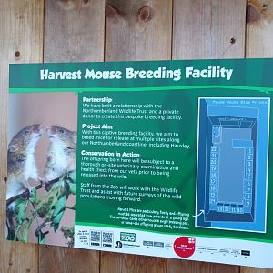 Harvest mouse breeding facility signage 14.10.23