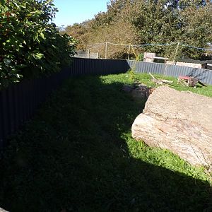 Asian short-clawed otter enclosure 14.10.23