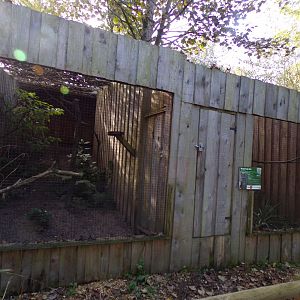 View of birds of prey aviaries 14.10.23