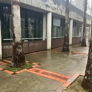 Primate Discovery Center empty enclosures
