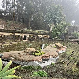 Future Jaguar exhibit