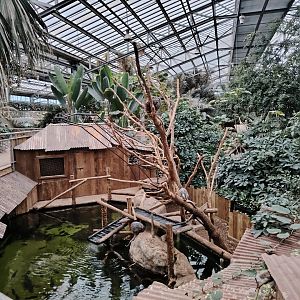 New piranha aquarium with Brazilian Porcupine exhibit