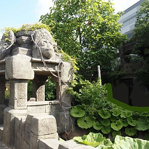 Monkey Ruins exhibit, 2024-06-23