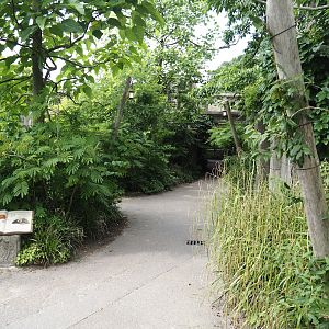 Monkey Ruins exhibit - Walkway, 2024-06-23