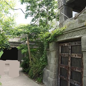 Monkey Ruins exhibit - Walkway and structures with indoor exhibits and elevated viewing area, 2024-06-23