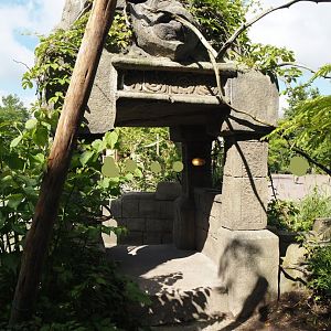 Monkey Ruins exhibit, 2024-06-23