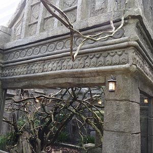 Monkey Ruins exhibit - Separate outdoor exhibit, 2024-06-23