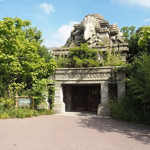 Jungola - Entrance to the butterfly temple, 2024-06-23