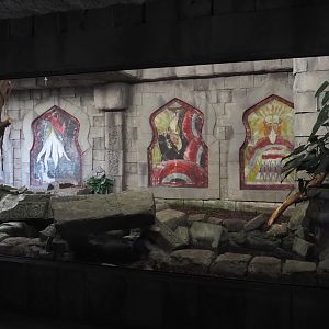 Jungola - Butterfly temple - Reticulated python terrarium, 2024-06-23