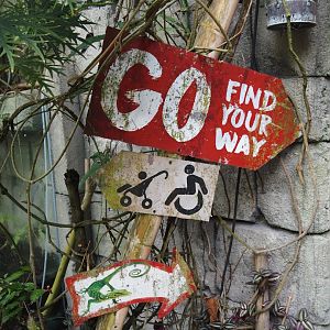 Jungola - Butterfly temple - Signage for adventure route, 2024-06-23